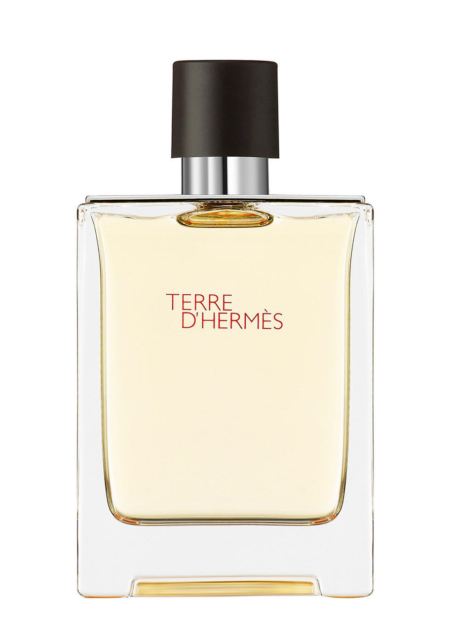 Hermes Terre D'Hermes EDT M 100 ml