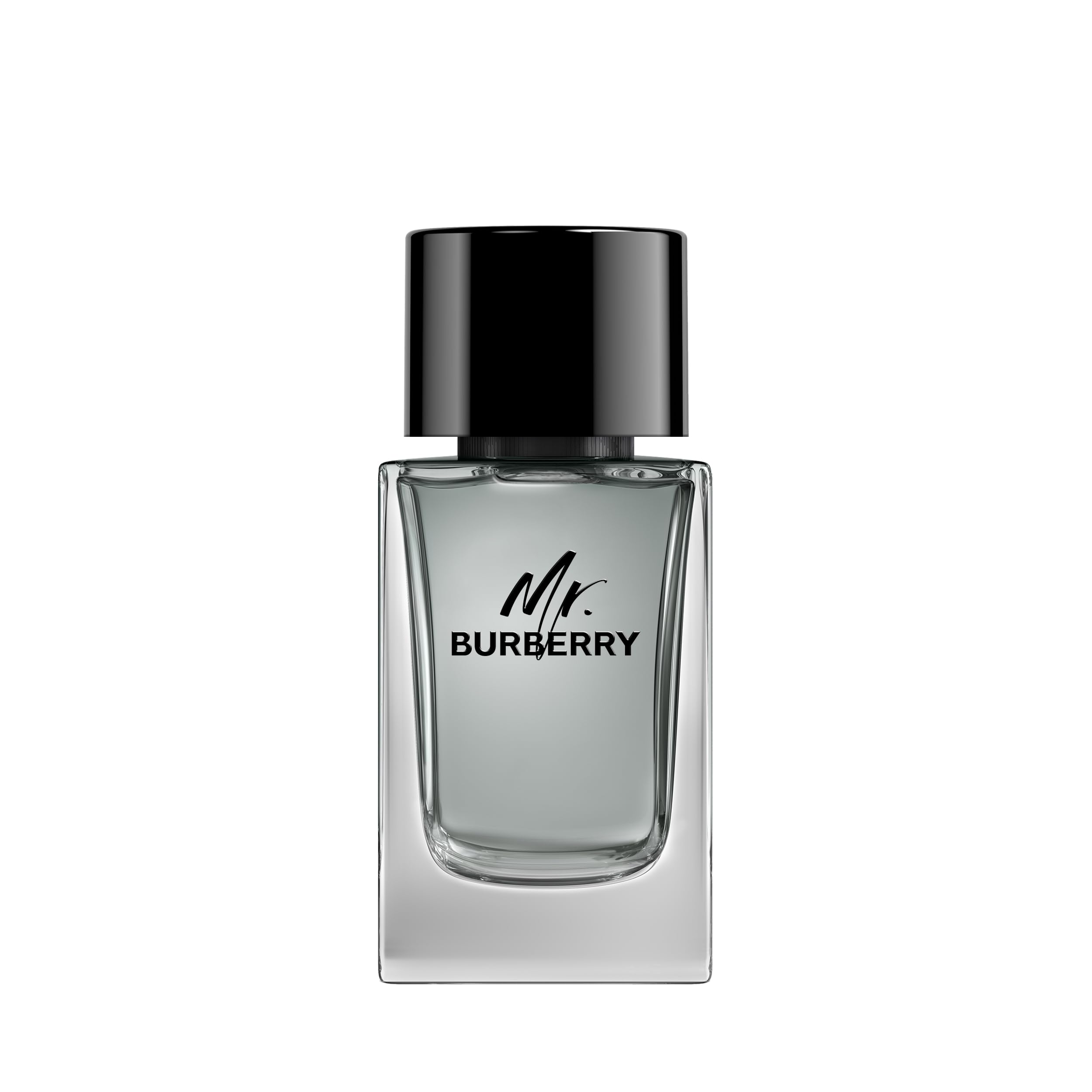 Burberry Mr. Burberry EDT M 100 ml