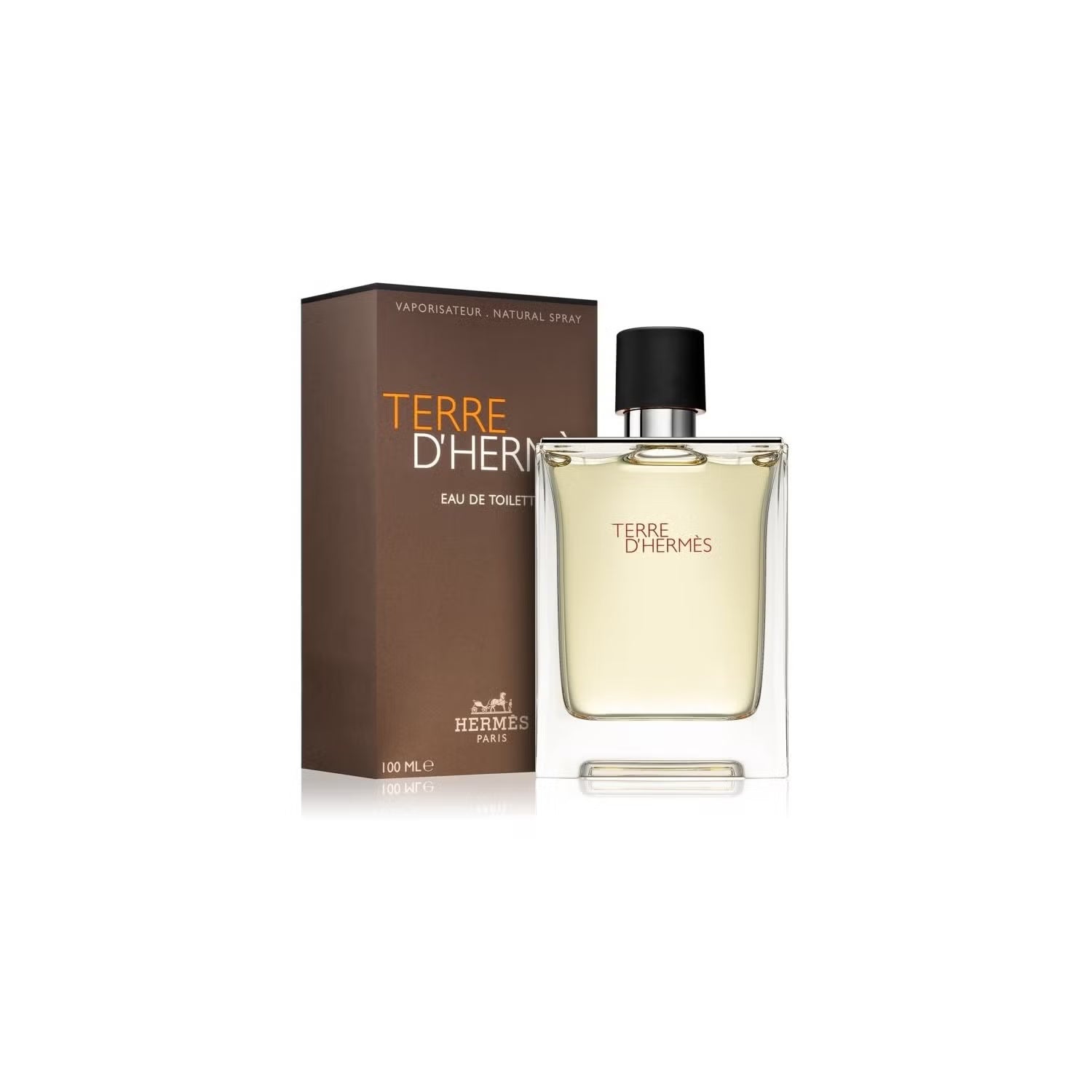 Hermes Terre D'Hermes EDT M 100 ml