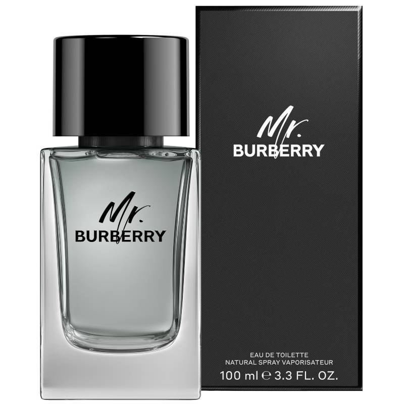 Burberry Mr. Burberry EDT M 100 ml